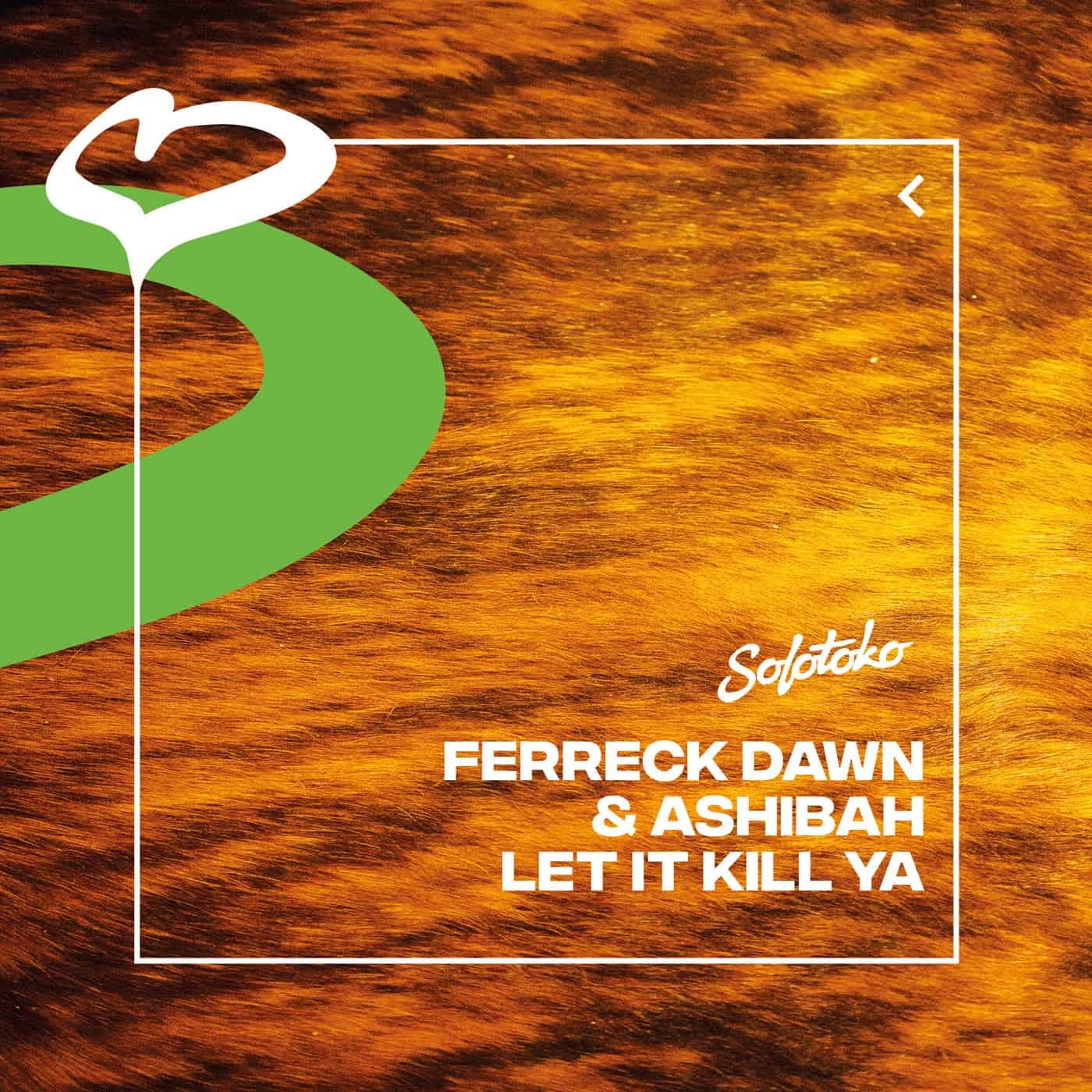 image cover: Ferreck Dawn, Ashibah - Let It Kill Ya (Extended Mix) / 5054197213816