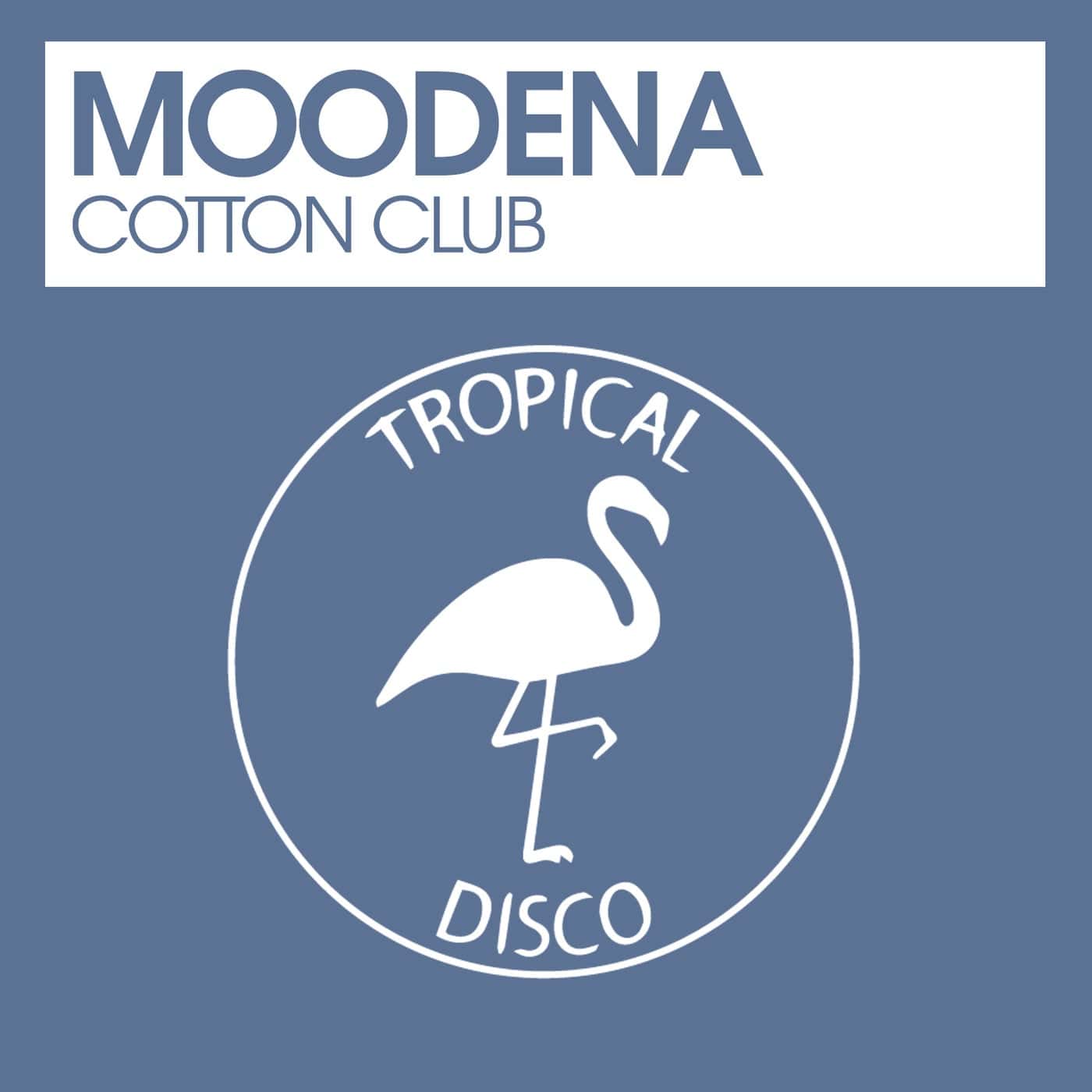 image cover: Moodena - Cotton Club / TDR285