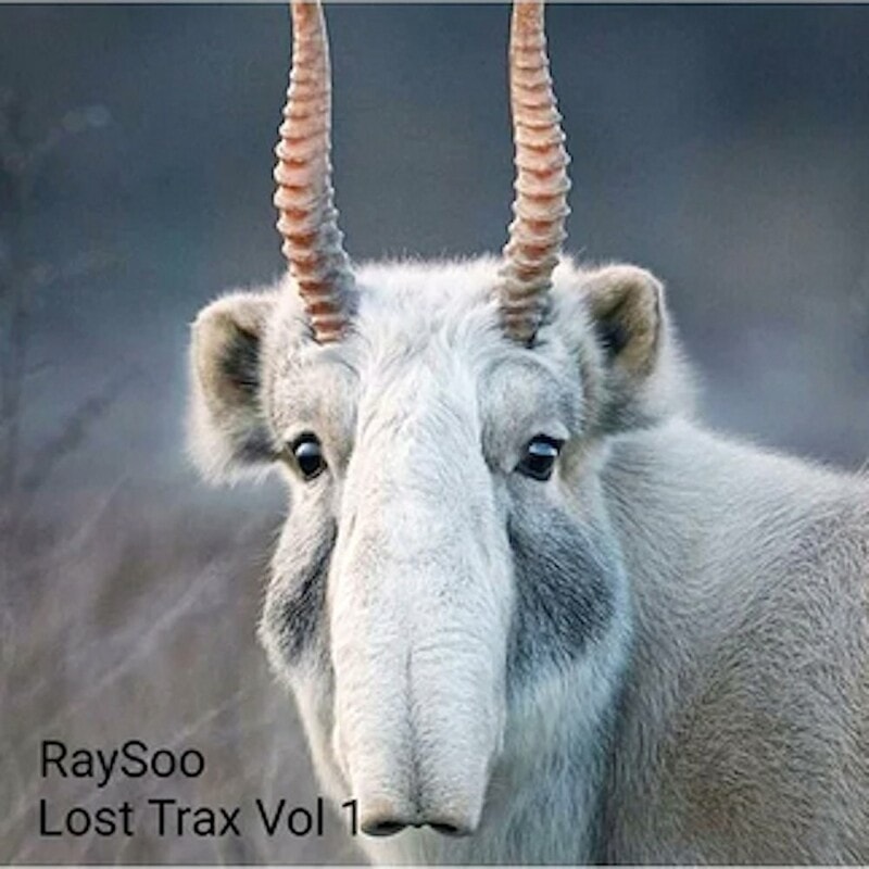 image cover: RaySoo - Lost Trax, Vol. 1 /
