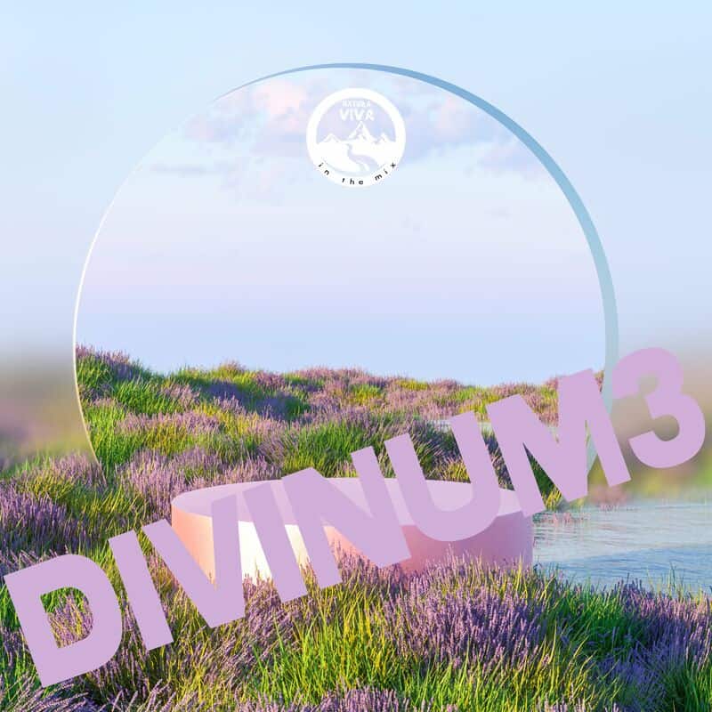 image cover: Various Artists - Divinum 3