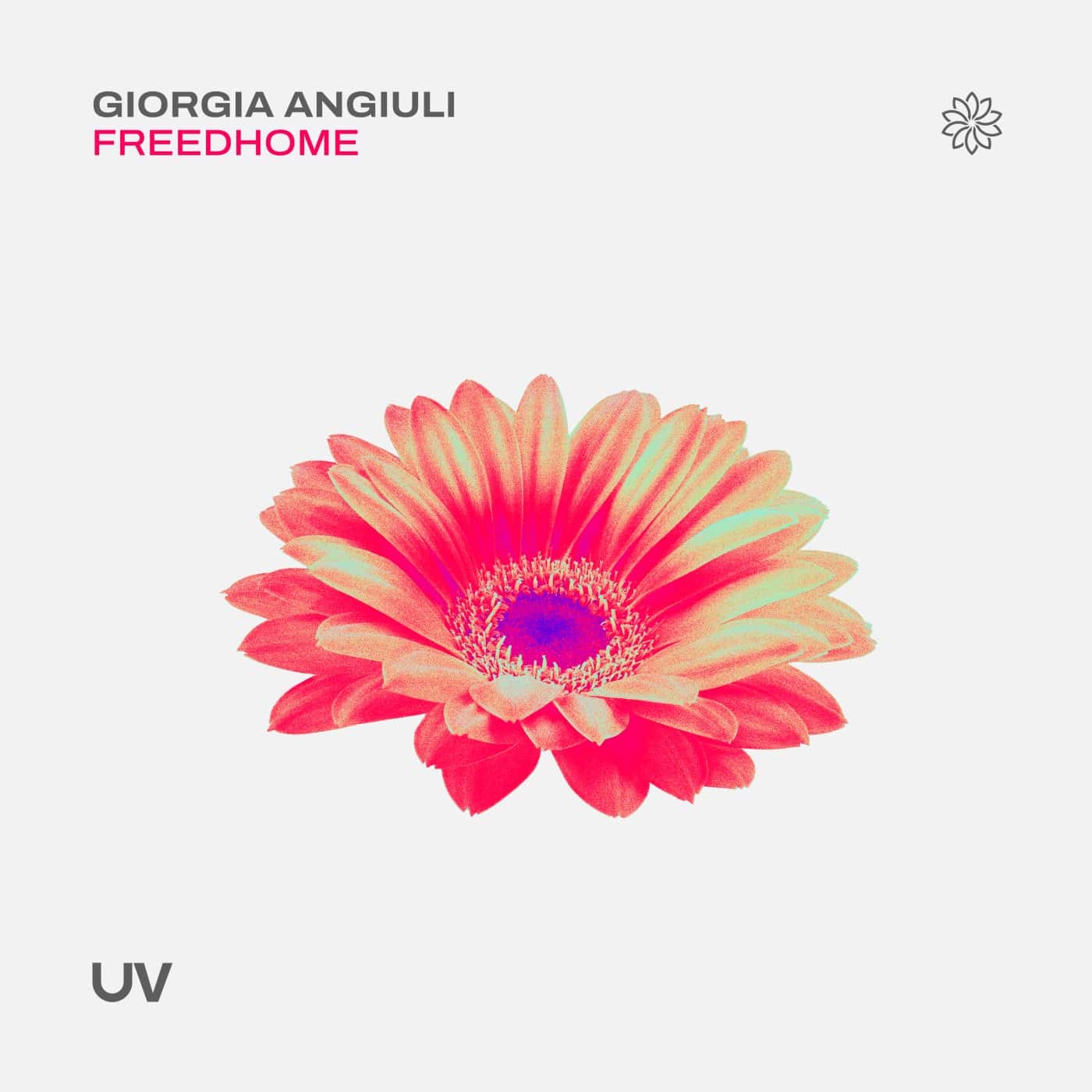 image cover: Giorgia Angiuli - FreedHome / FSOEUV217