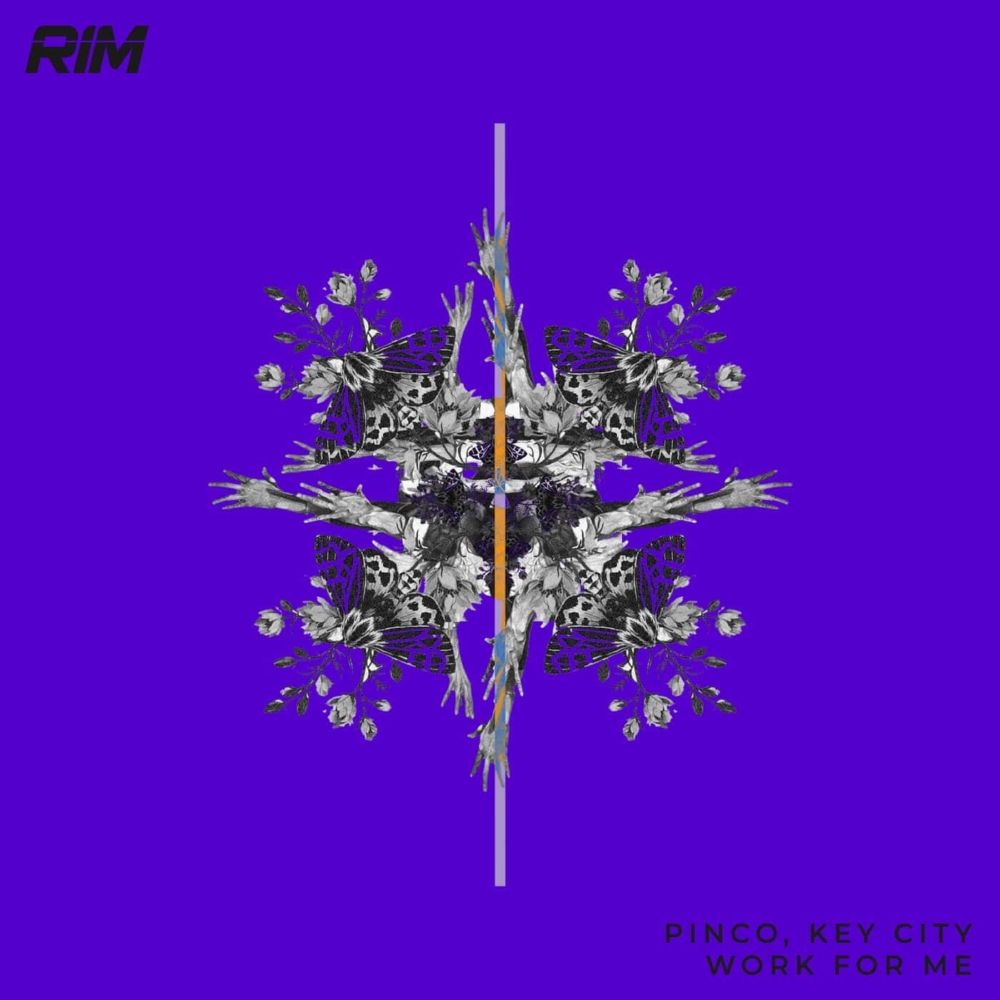 image cover: Pinco, Key City - Work for Me