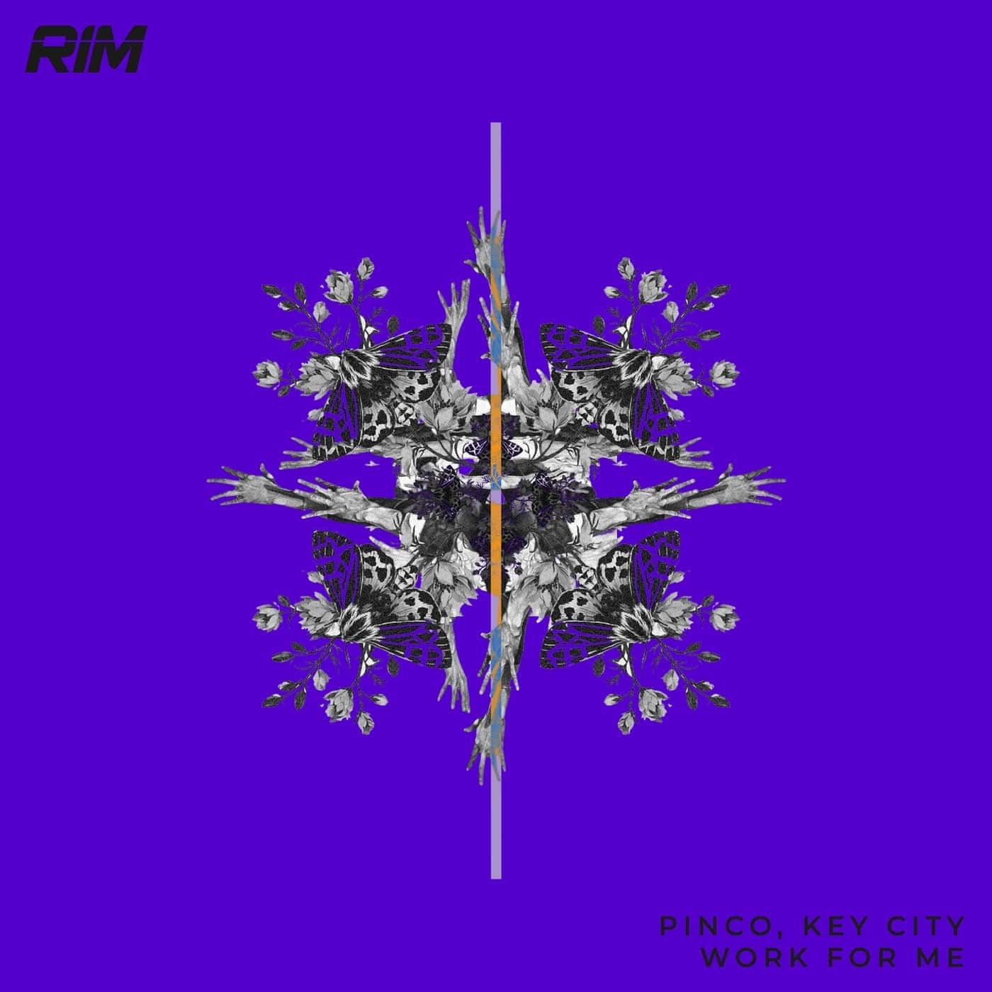 Download Pinco, Key City - Work for Me on Electrobuzz