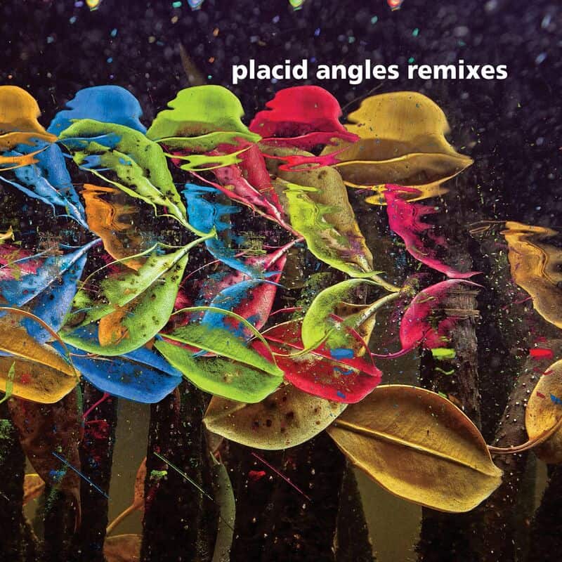 image cover: Placid Angles - Touch The Earth Remixes