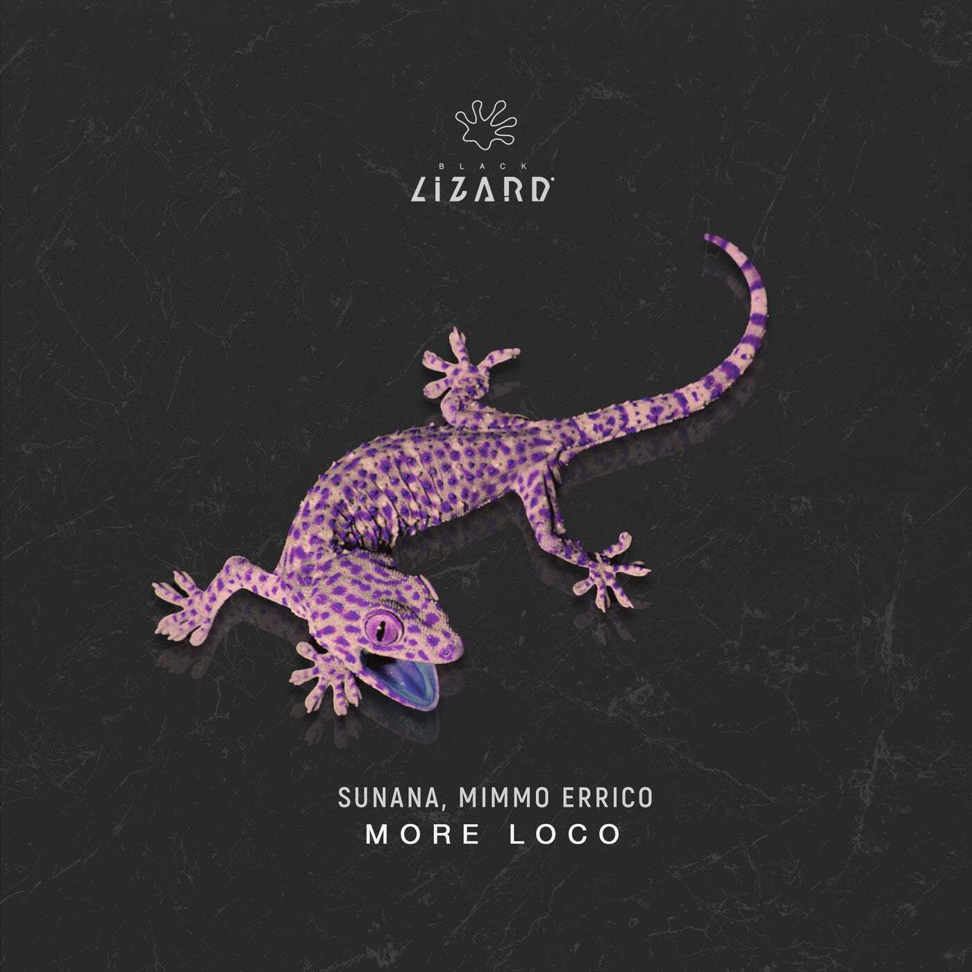 Download Mimmo Errico, SUNANA - More Loco on Electrobuzz