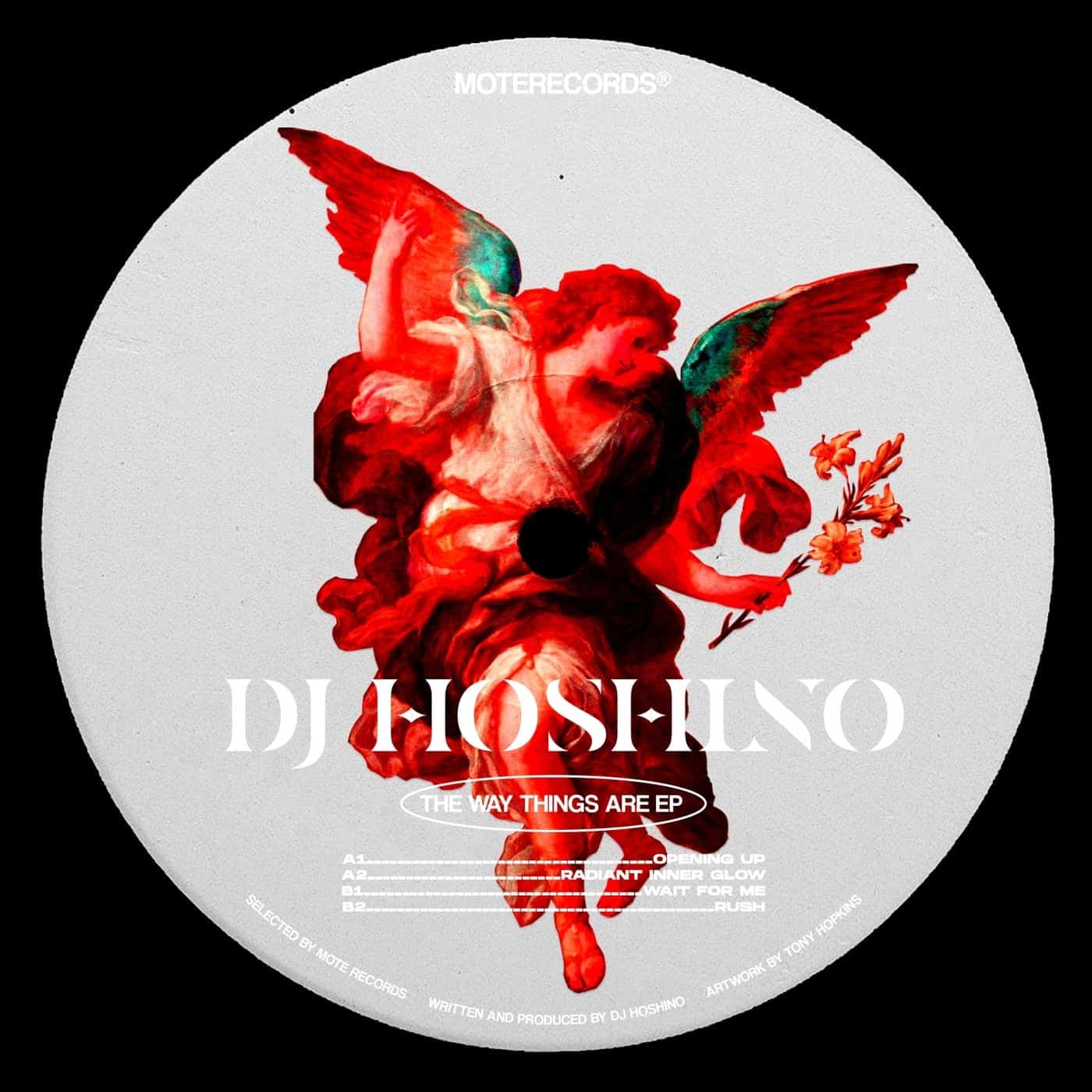 Download DJ Hoshino - The Way Things Are on Electrobuzz