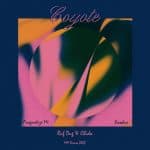 07 2022 346 281104 Coyote - Exodus / Fragnatize Me (Ruf Dug & Chida Remixes) / MMD023