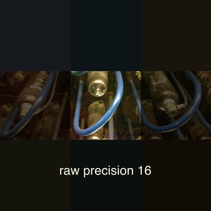Download Various Artists - Raw Precision 16 on Electrobuzz