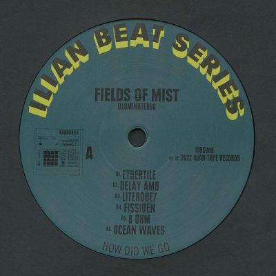 07 2022 346 68772 Fields Of Mist - Illuminated60 /