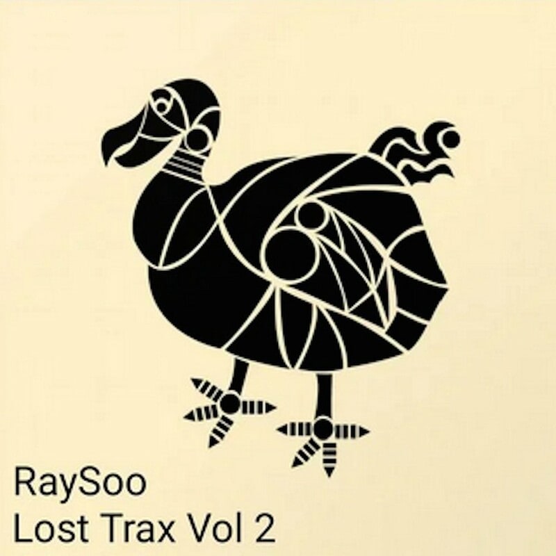 image cover: RaySoo - Lost Trax Vol 2 /