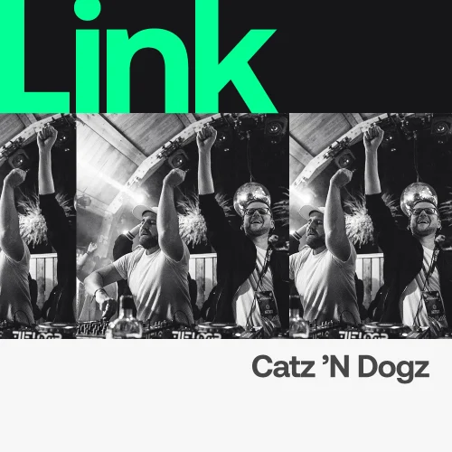image cover: LINK Artist Catz 'n Dogz - Reach Chart