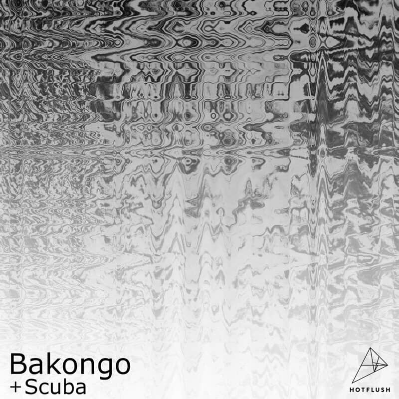 image cover: Bakongo - OneZeroFive / Hotflush Recordings