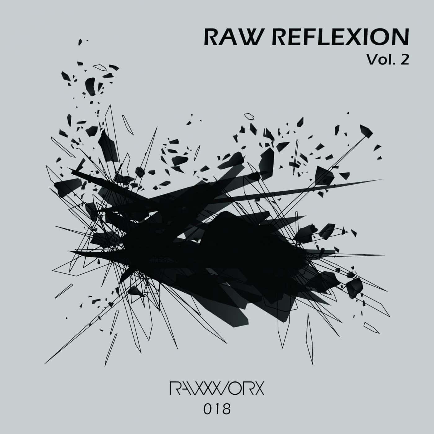 image cover: VA - RAW Reflexion Vol. 2 / RWX018