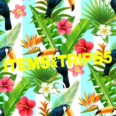 08 2022 346 156593 Various Artists - Items & Trips 5 /