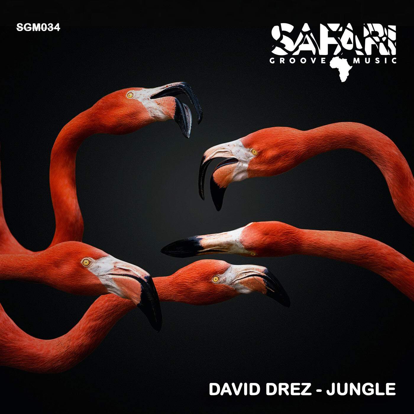 image cover: David Drez - Jungle / SGM034
