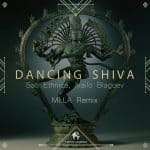 08 2022 346 246916 SATI ETHNICA, Ivailo Blagoev - Dancing Shiva / CDA207