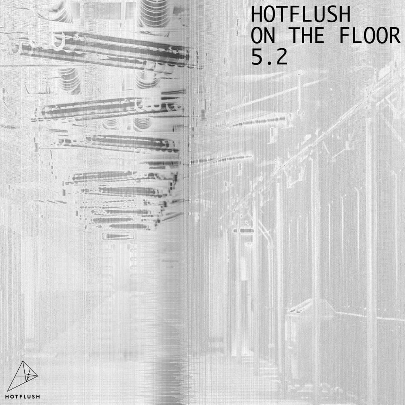 image cover: VA - Hotflush On The Floor 5.2 / HFCOMP019II