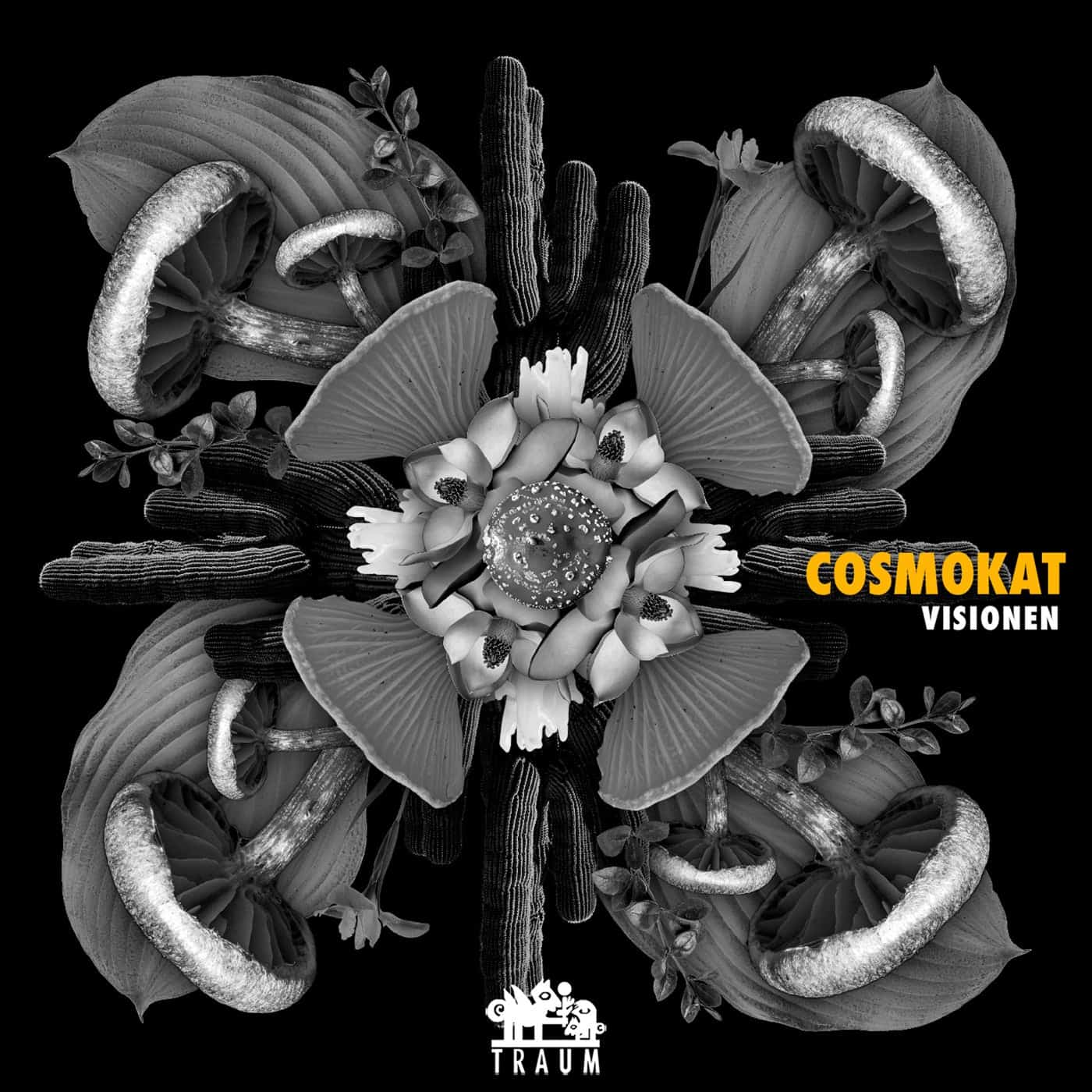 image cover: Cosmokat - Visionen / TRAUMV270