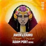 08 2022 346 392947 Awen, Caiiro - Your Voice (Adam Port Remix) / MIDH043