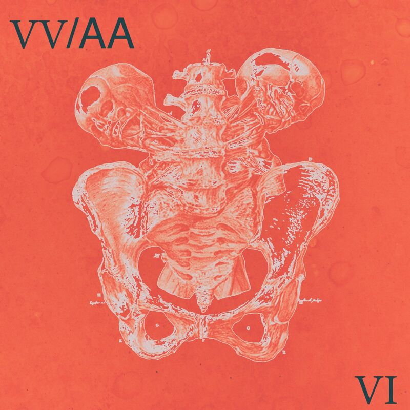 image cover: Various Artists - VV/AA 006 /