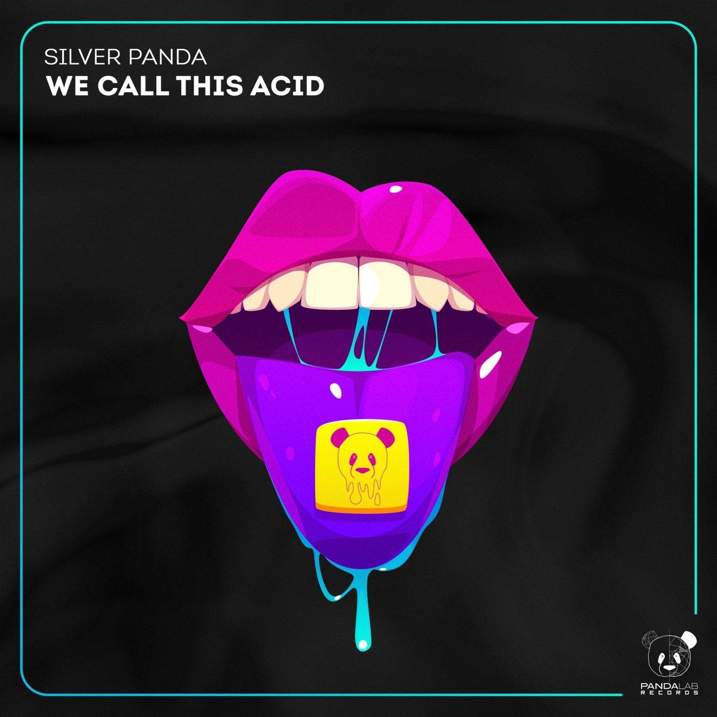 image cover: Silver Panda - We Call This Acid / PLR002