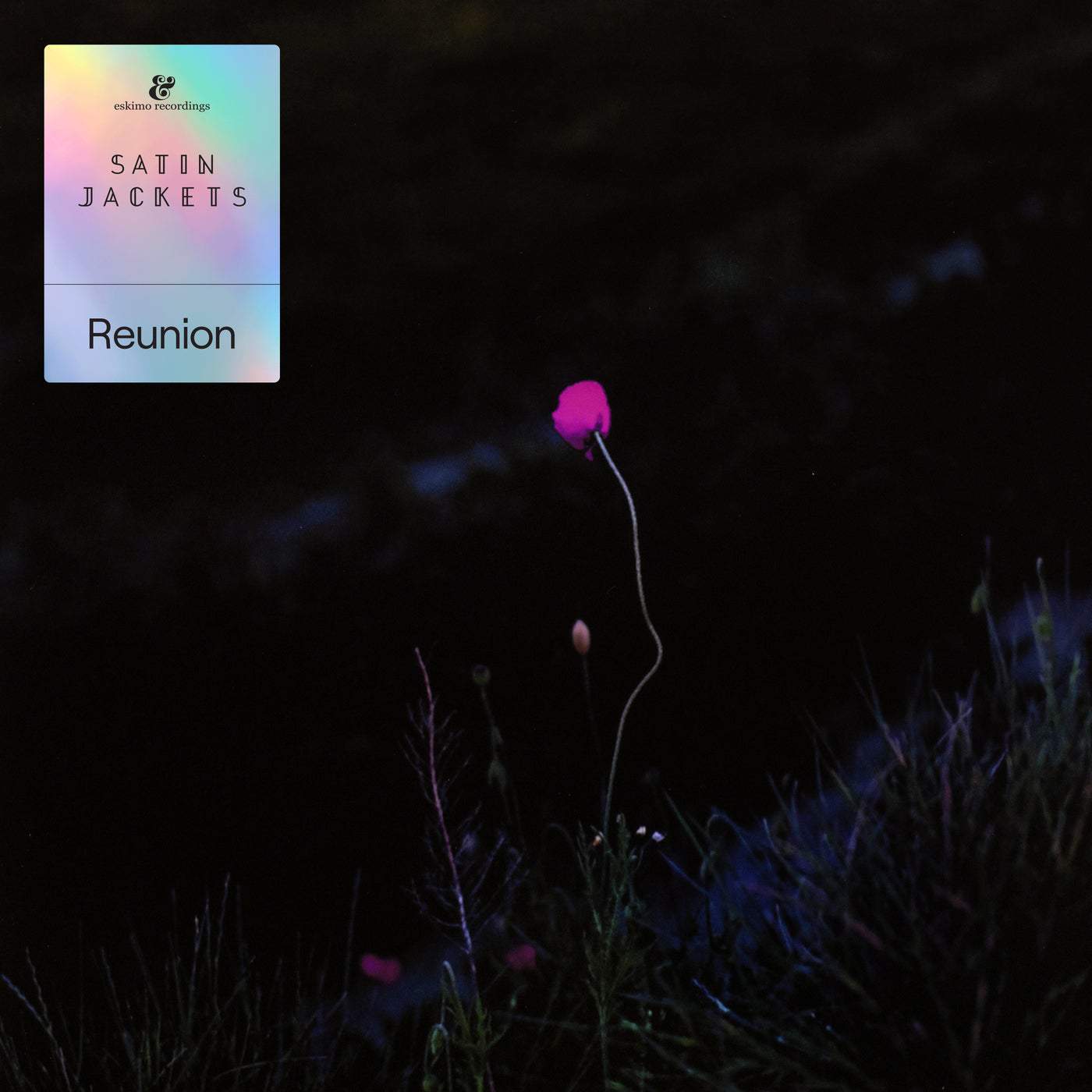 Download Satin Jackets, Panama, Tailor, Metaxas, Ivy Falls - Reunion on Electrobuzz