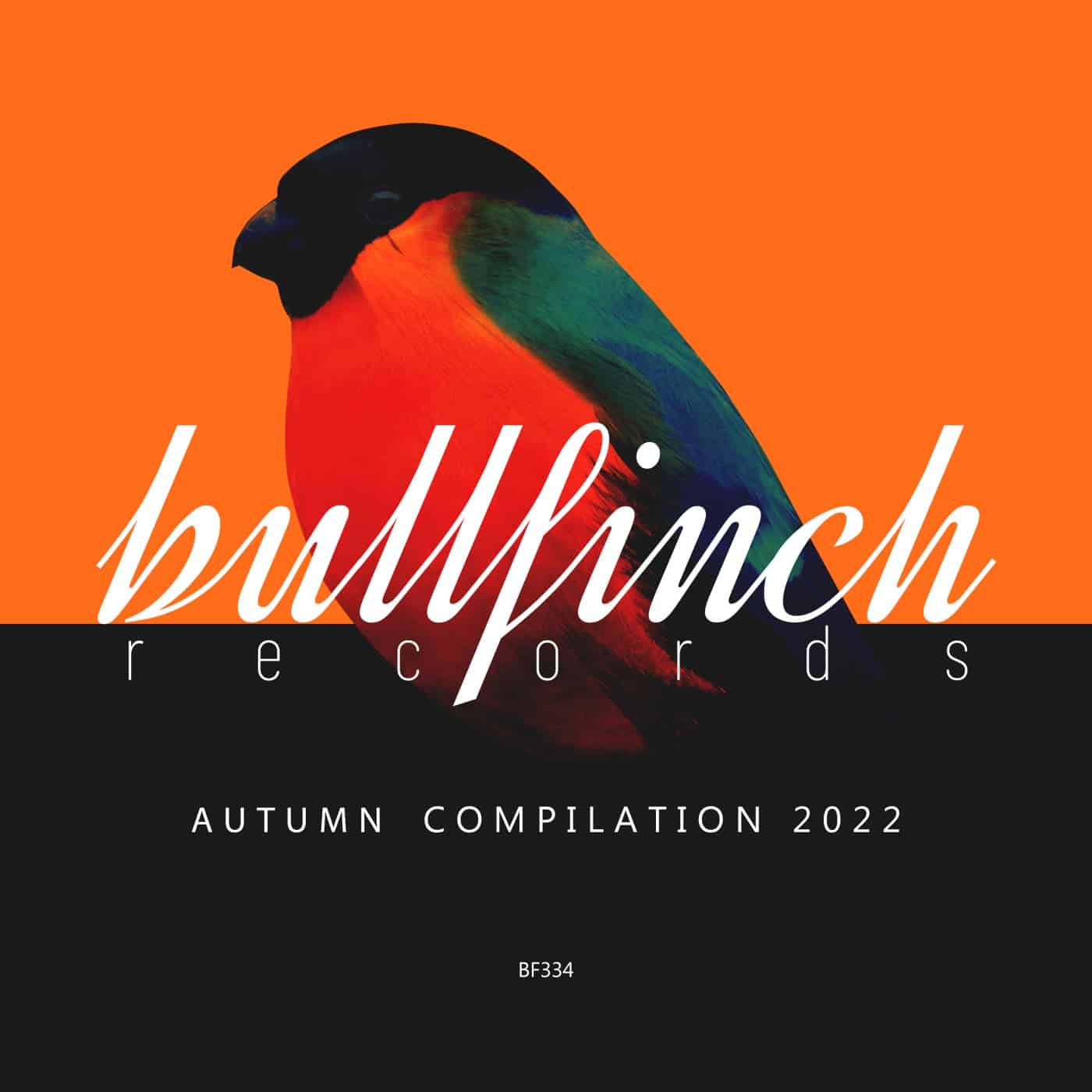 image cover: Kola (PL), Odagled, Rave Bot, Andrew Stevia, Serval (AR), Distorted Memories, Vlad Iona, Unicod, Emre Aksoz, Lykan - Bullfinch Autumn 2022 Compilation / BF334