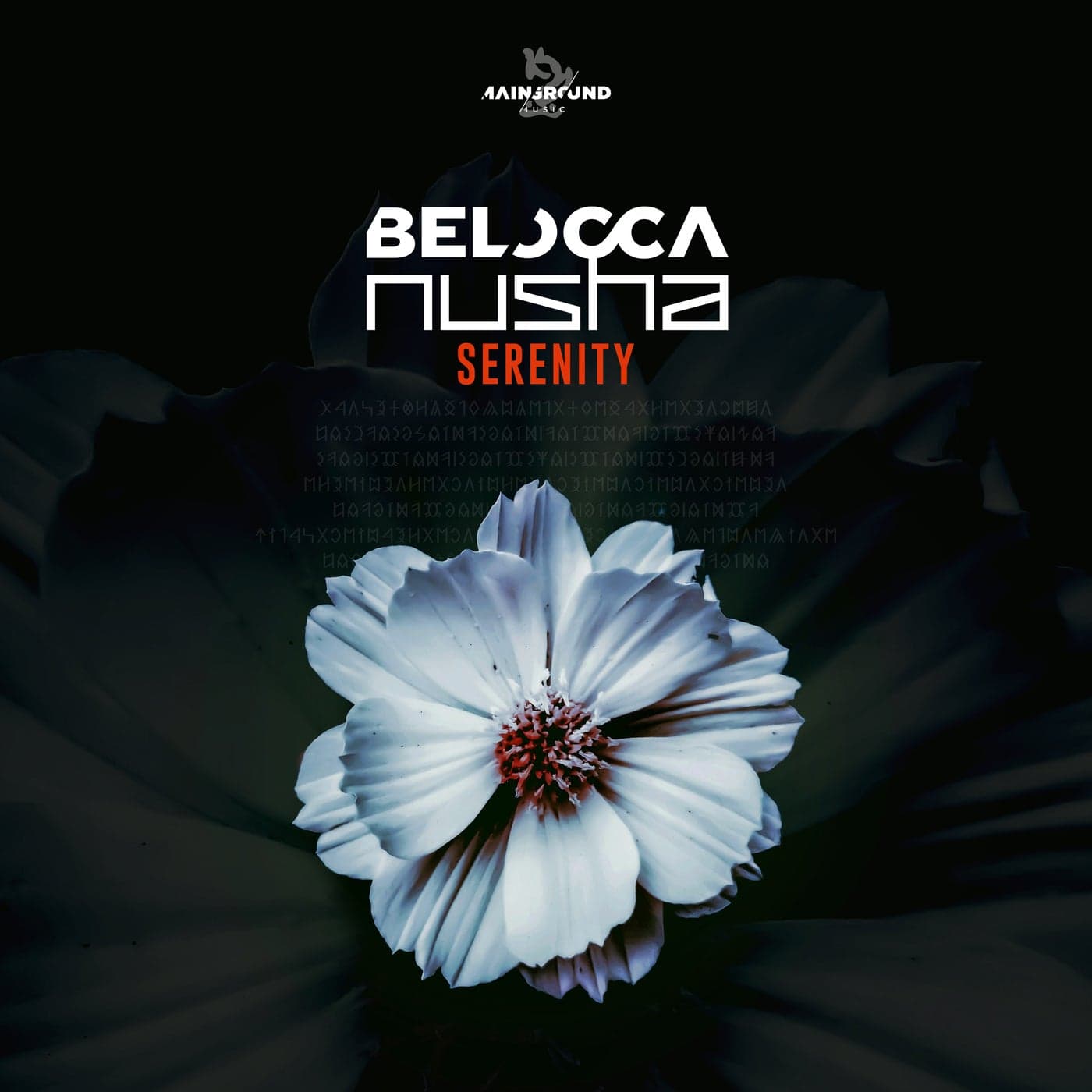 Download Belocca, Nusha - Serenity on Electrobuzz