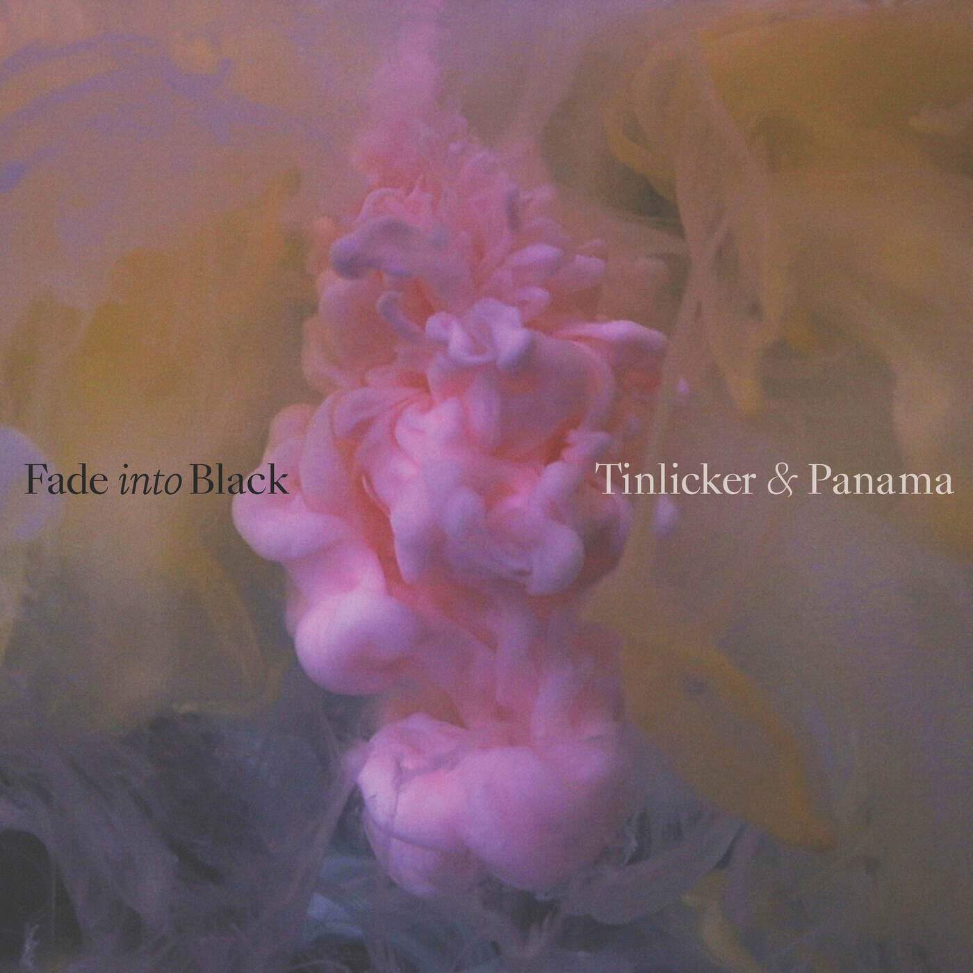image cover: Panama, Tinlicker - Fade Into Black (Extended Club Mix) / FCL495RMXA