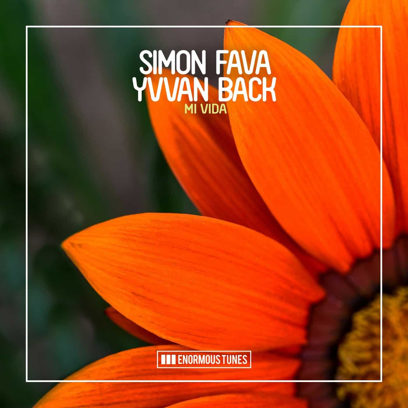 Download Simon Fava, Yvvan Back - Mi Vida on Electrobuzz