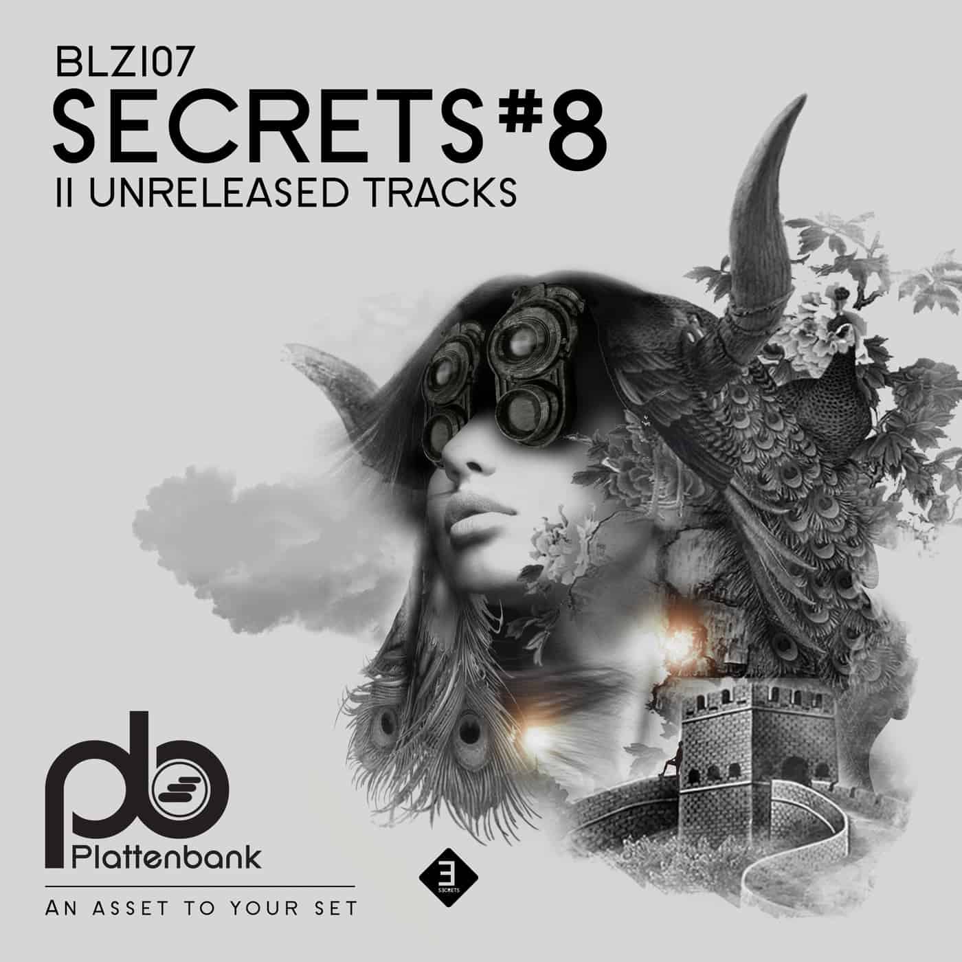 image cover: VA - Secrets #8 / BLZ107