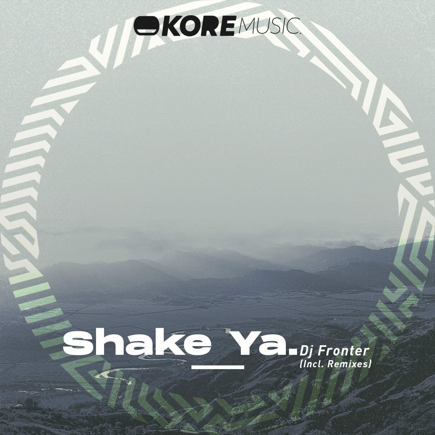 Download DJ Fronter - Shake Ya on Electrobuzz