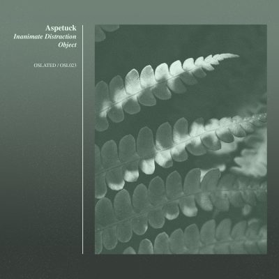 09 2022 346 265622 Aspetuck - Inanimate Distraction Object / OSL023