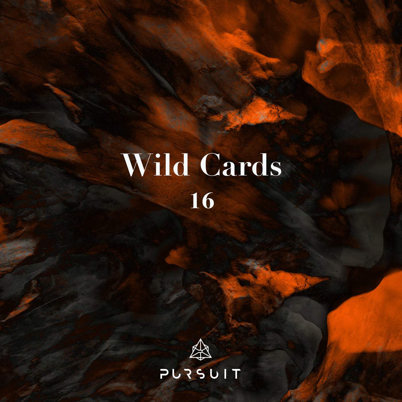 image cover: VA - Wild Cards 16 / PRST077