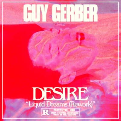 09 2022 346 360474 Guy Gerber, Desire - Liquid Dreams (Guy Gerber Rework) / 196429100268