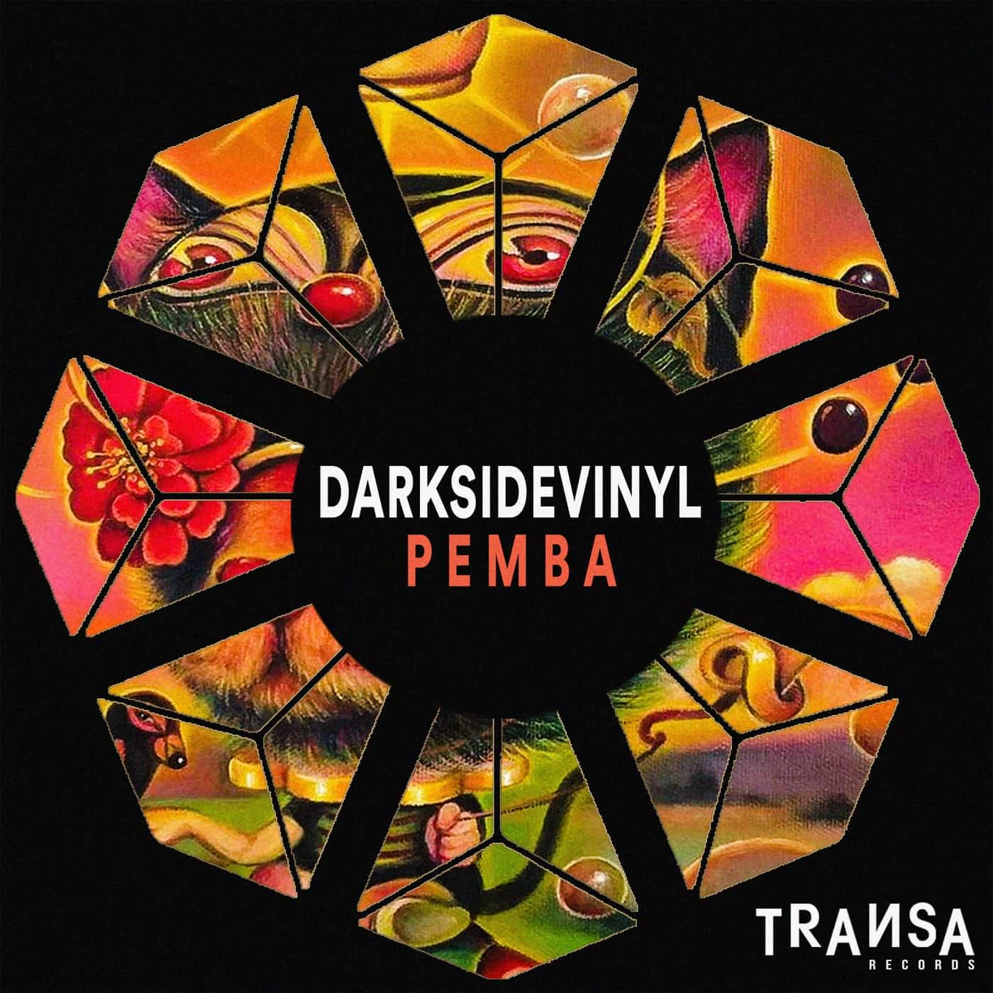 Download Darksidevinyl - Pemba on Electrobuzz