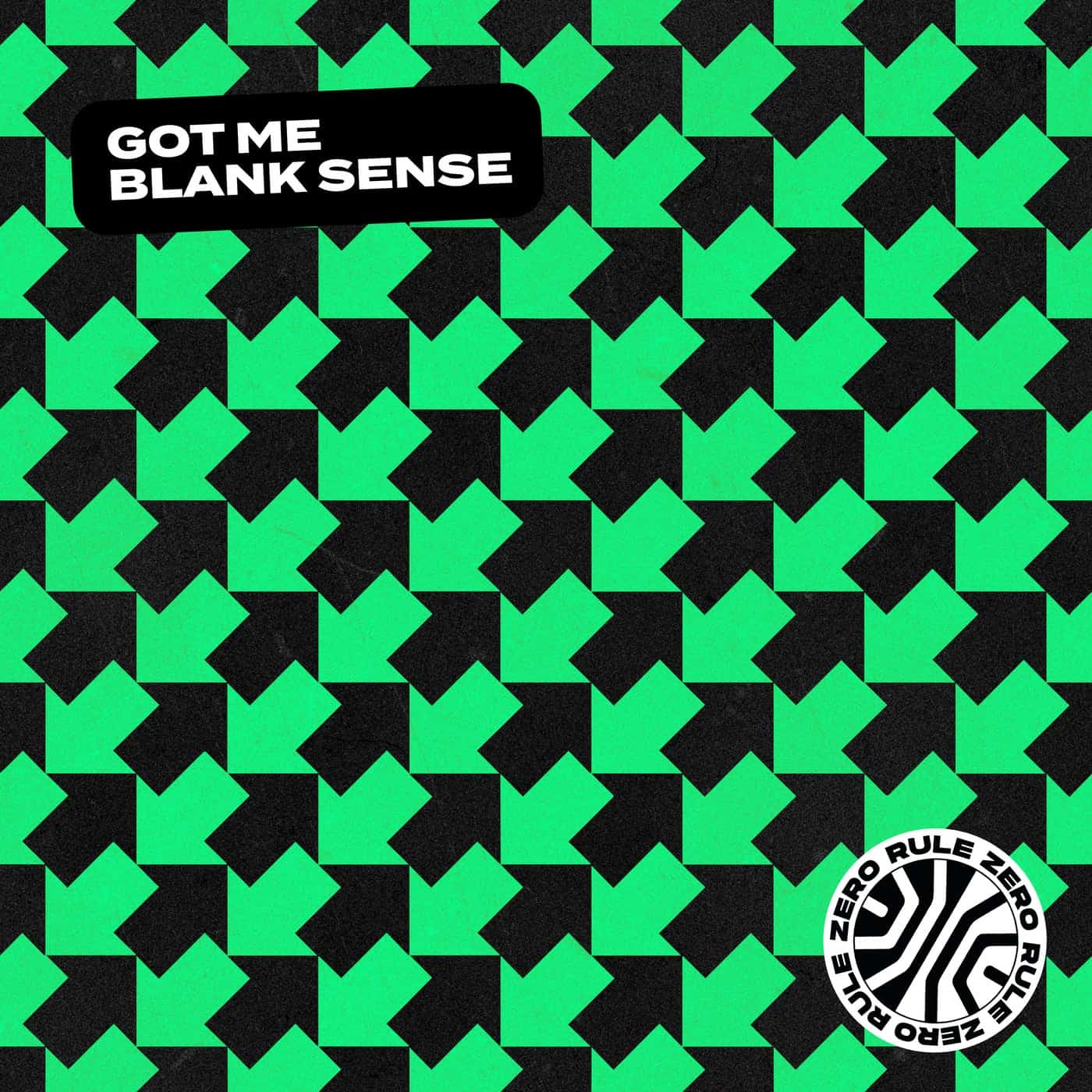 image cover: Blank Sense - Got Me (Extended Mix) / RZ006