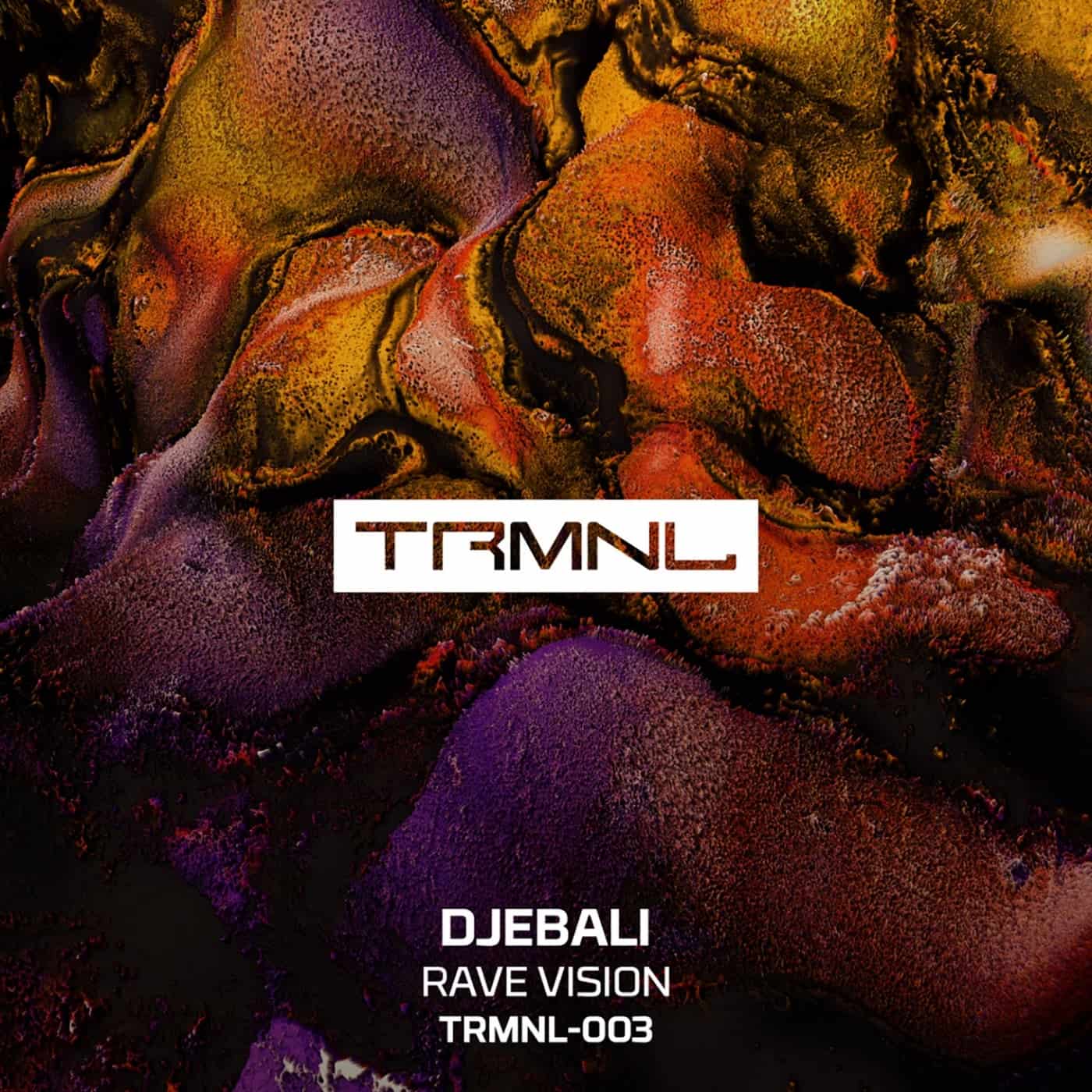image cover: Djebali - Rave Vision / TRMNL003