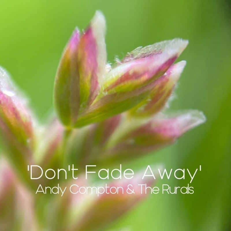 image cover: Andy Compton - Don't Fade Away / Peng