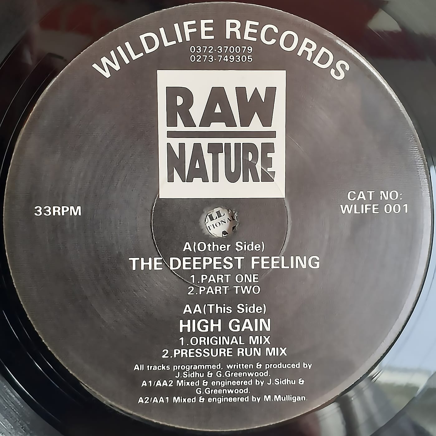 image cover: Raw Nature - The Deepest Feeling /