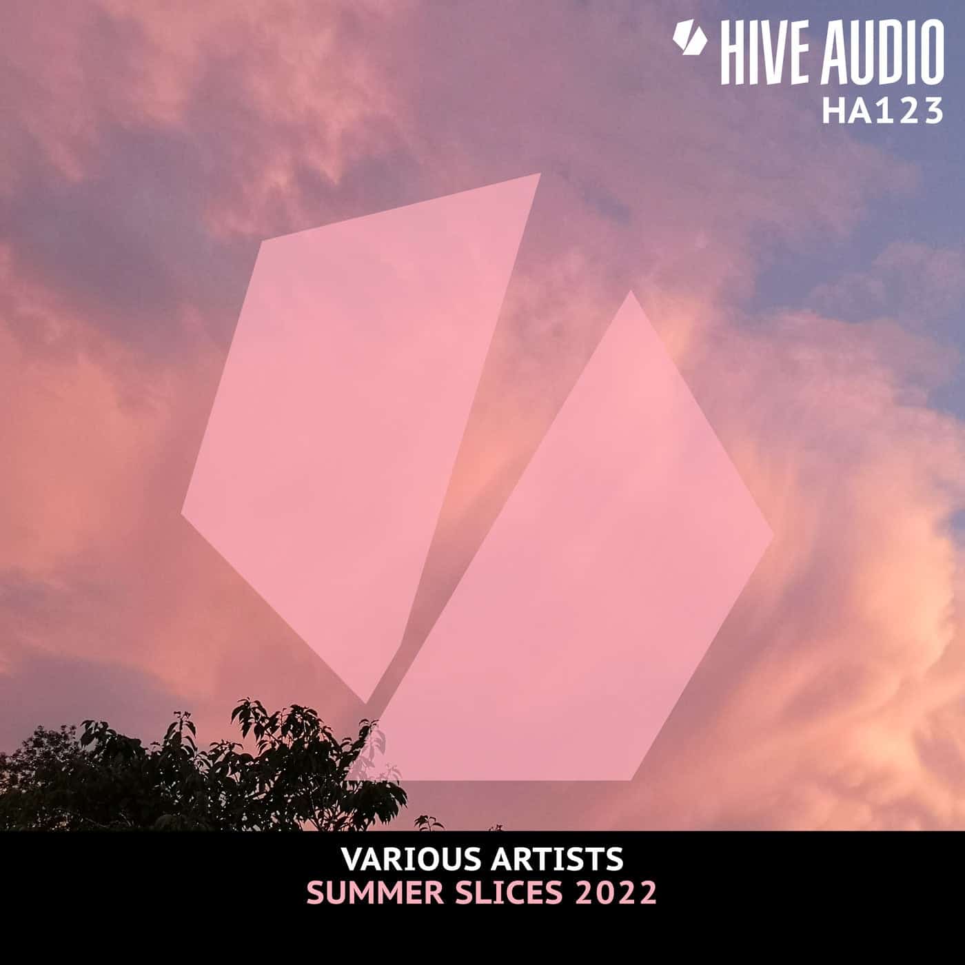 Download VA - V.A. - Hive Audio Summer Slices 2022 on Electrobuzz