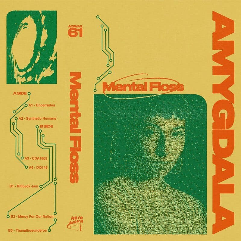 image cover: Amygdala - Mental Floss /