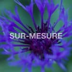 10 2022 346 169768 VA - Sur-Mesure / MOOD239