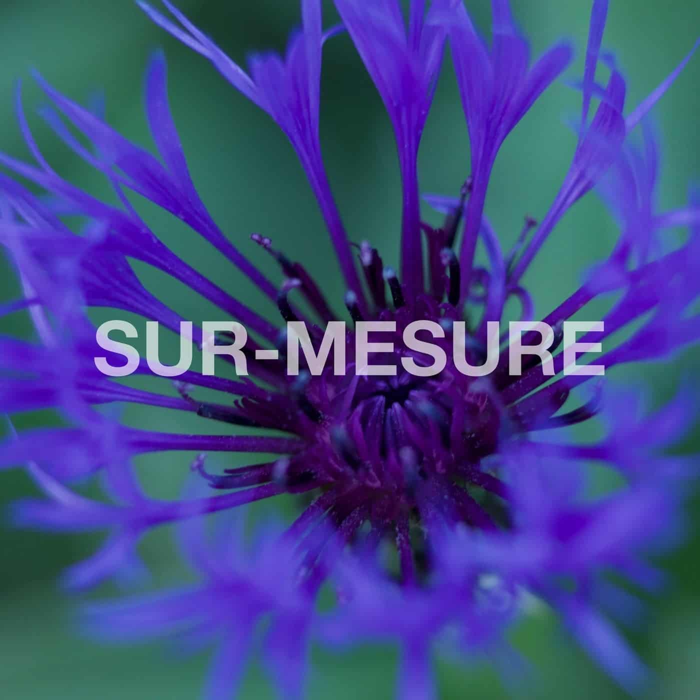 Download VA - Sur-Mesure on Electrobuzz