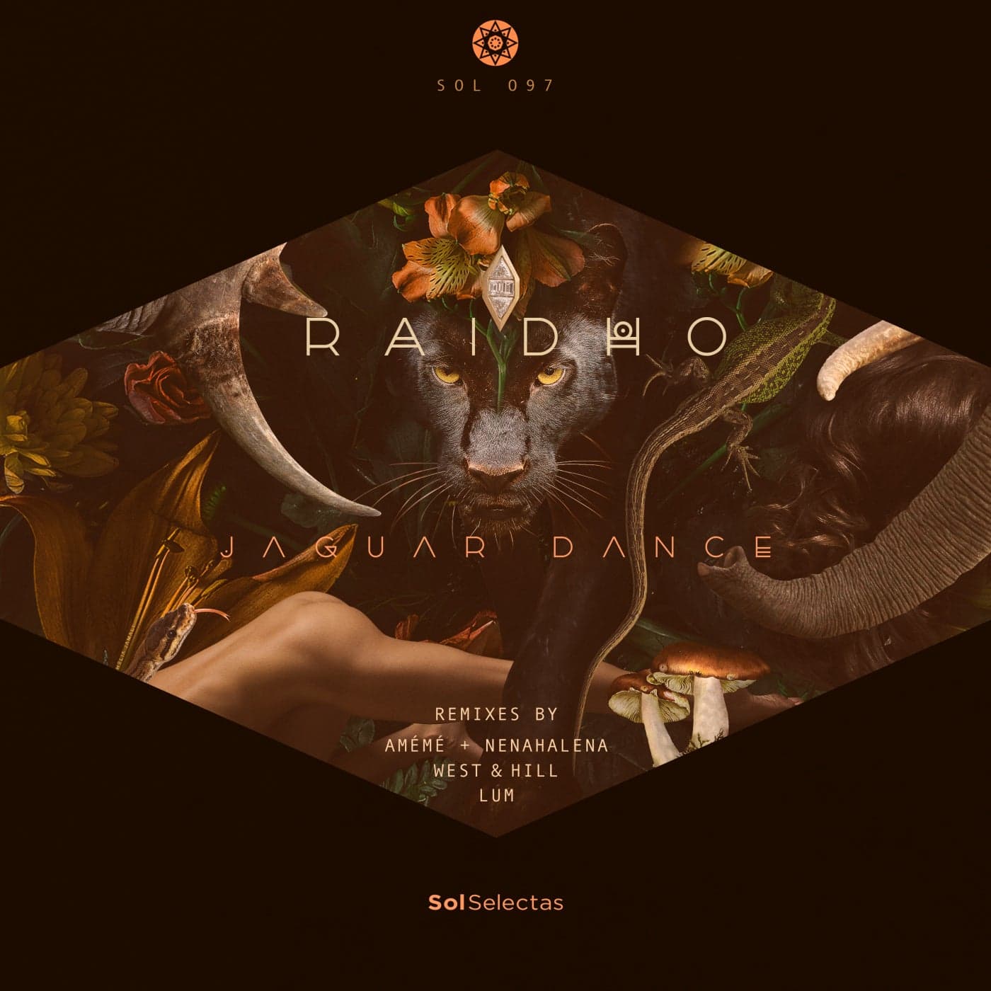 image cover: Raidho - Jaguar Dance / SOL097