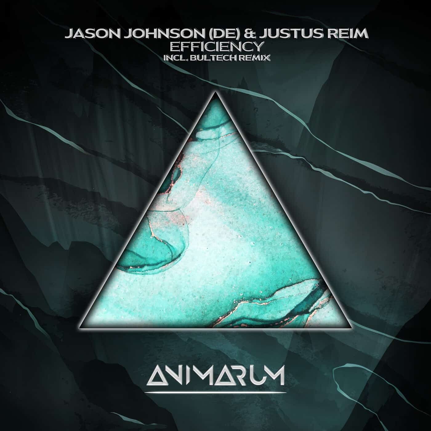 image cover: Jason Johnson (DE), Justus Reim - Efficency / AMR40