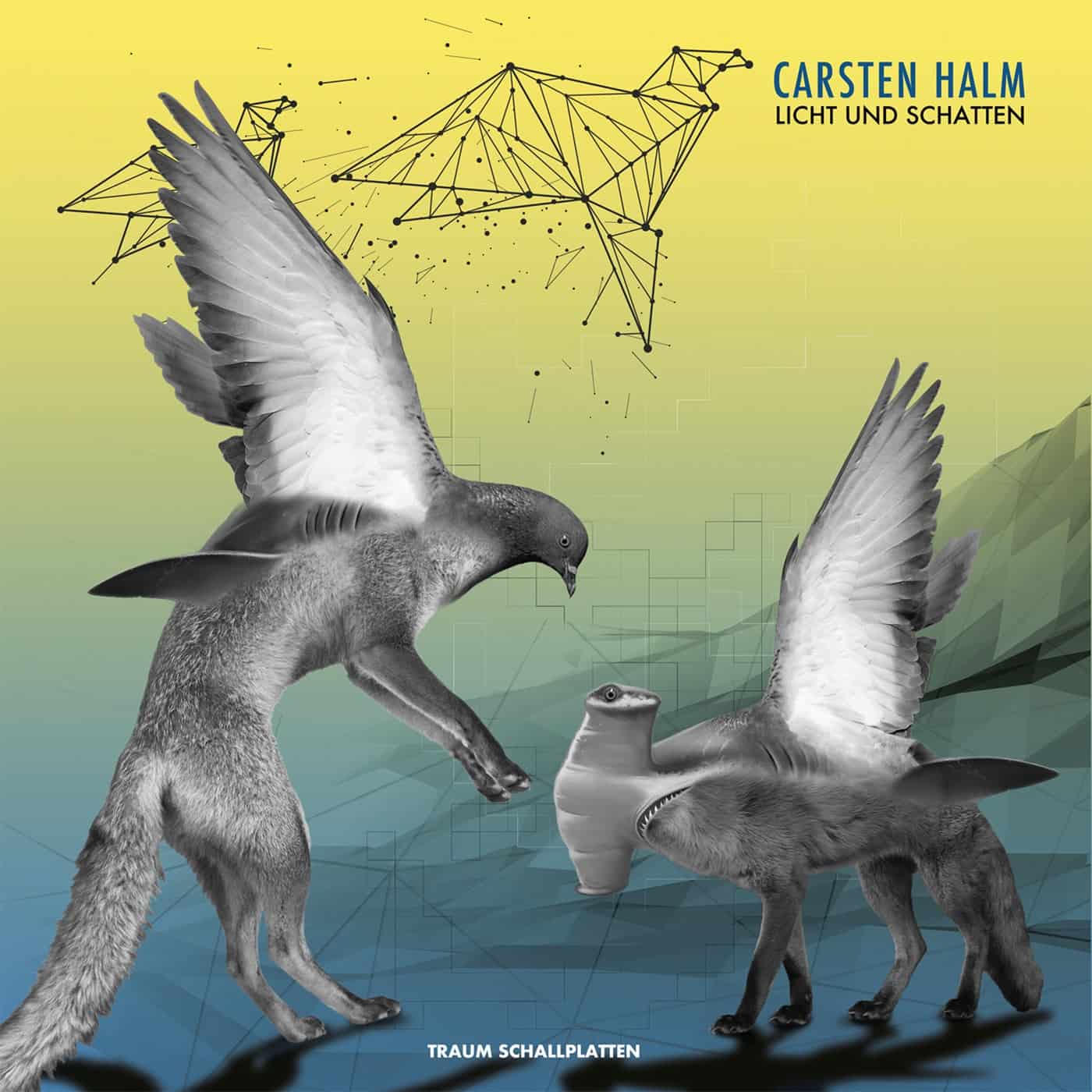 image cover: Carsten Halm - Licht Und Schatten / TRAUMV274