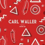 10 2022 346 246621 Carl Waller - Trippin' (Extended Mix) / HHW138