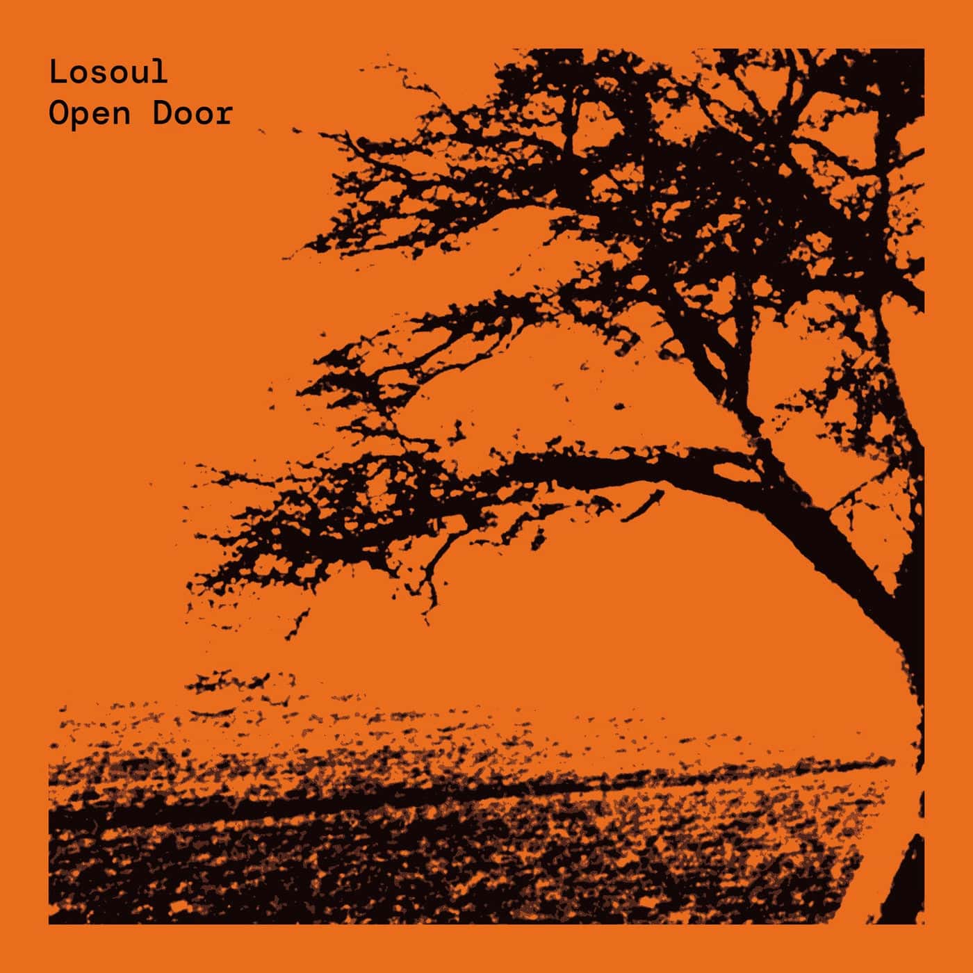 image cover: LoSoul - Open Door (Expanded Edition) / RBDC08D