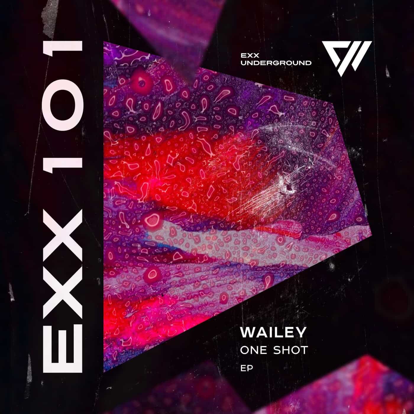 image cover: Wailey - One Shot / EU101